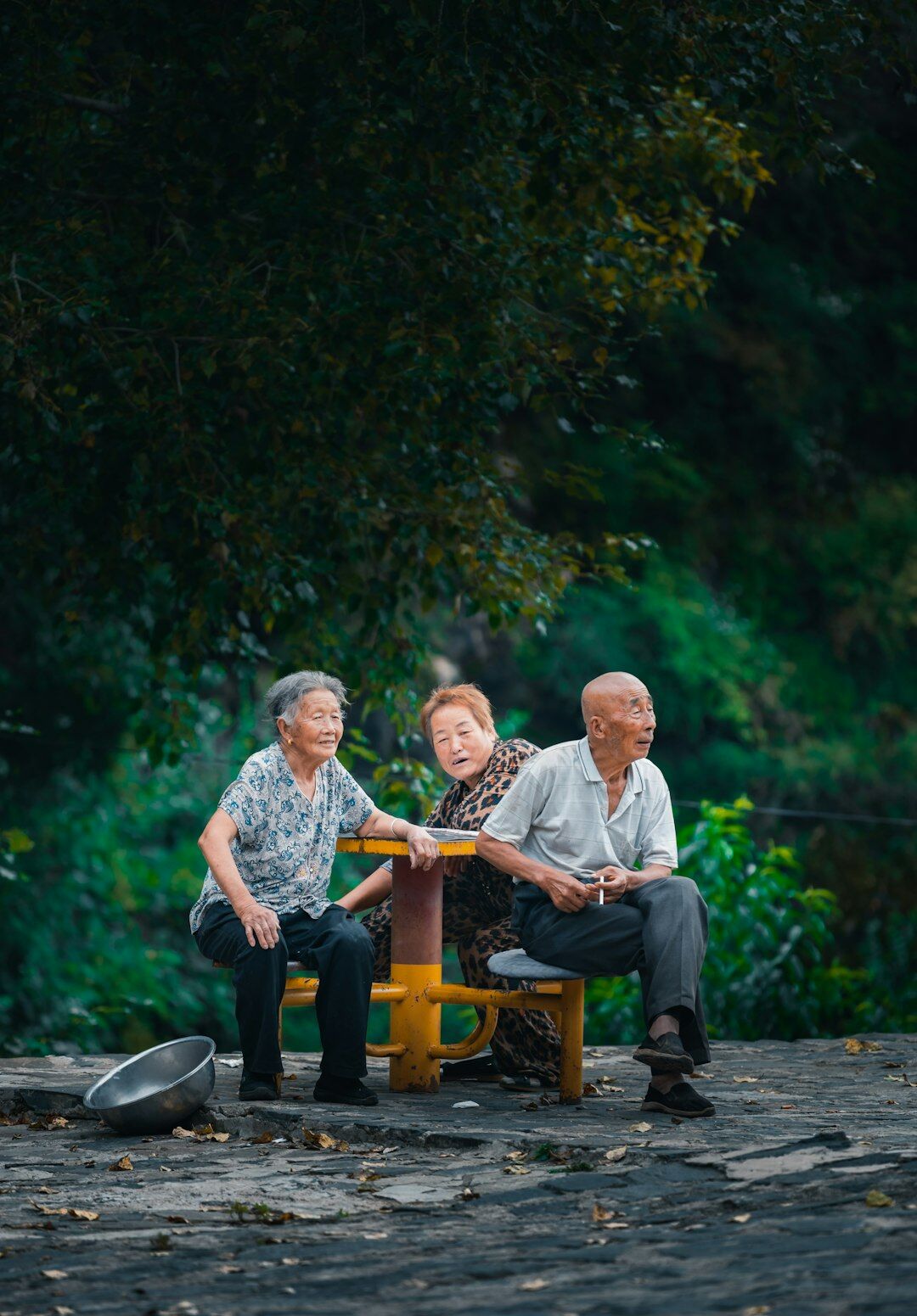 Seniors having a picnic together outdoors